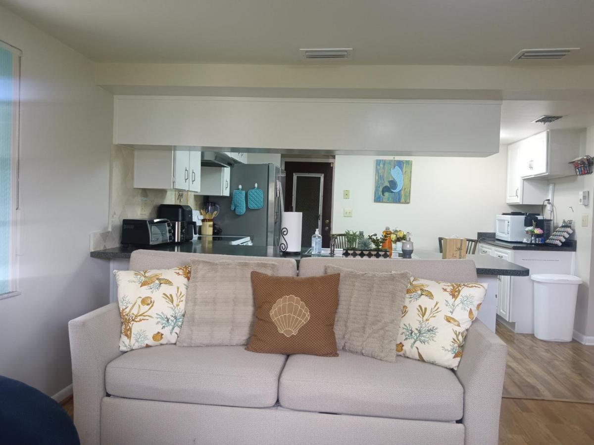 Comfortable, Sunny, Quiet Neighborhood Port Richey Exteriör bild